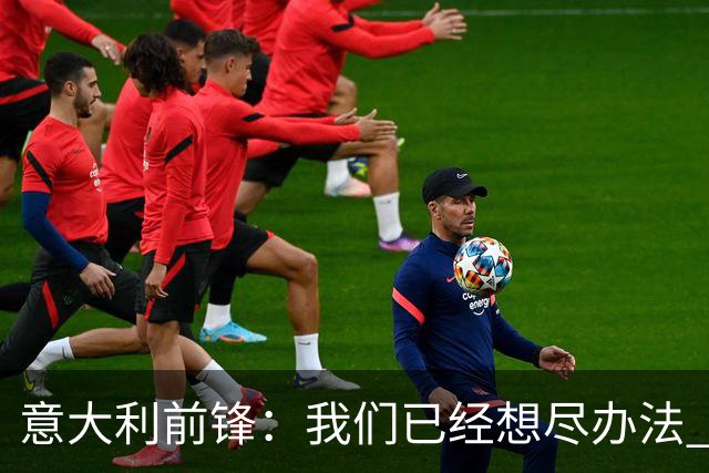 意大利前锋：我们已经想尽办法 但还是不够